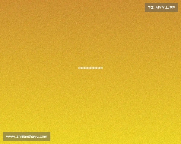 《巅峰对决：双子星的王者之路》》